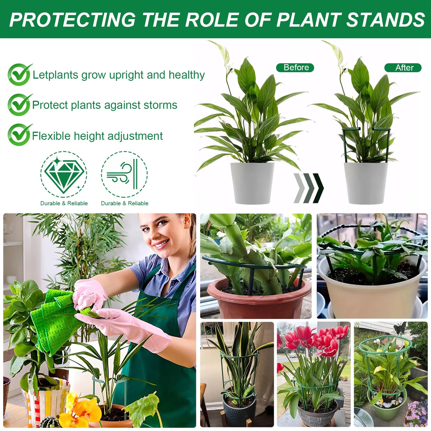 Plant Support Stakes for Garden – 6 Pack