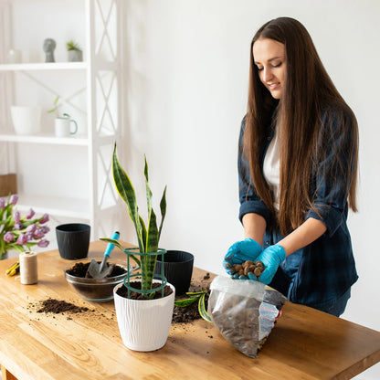 Plant Support Stakes for Garden – 6 Pack