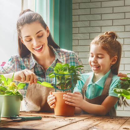 Plant Support Stakes for Garden – 6 Pack