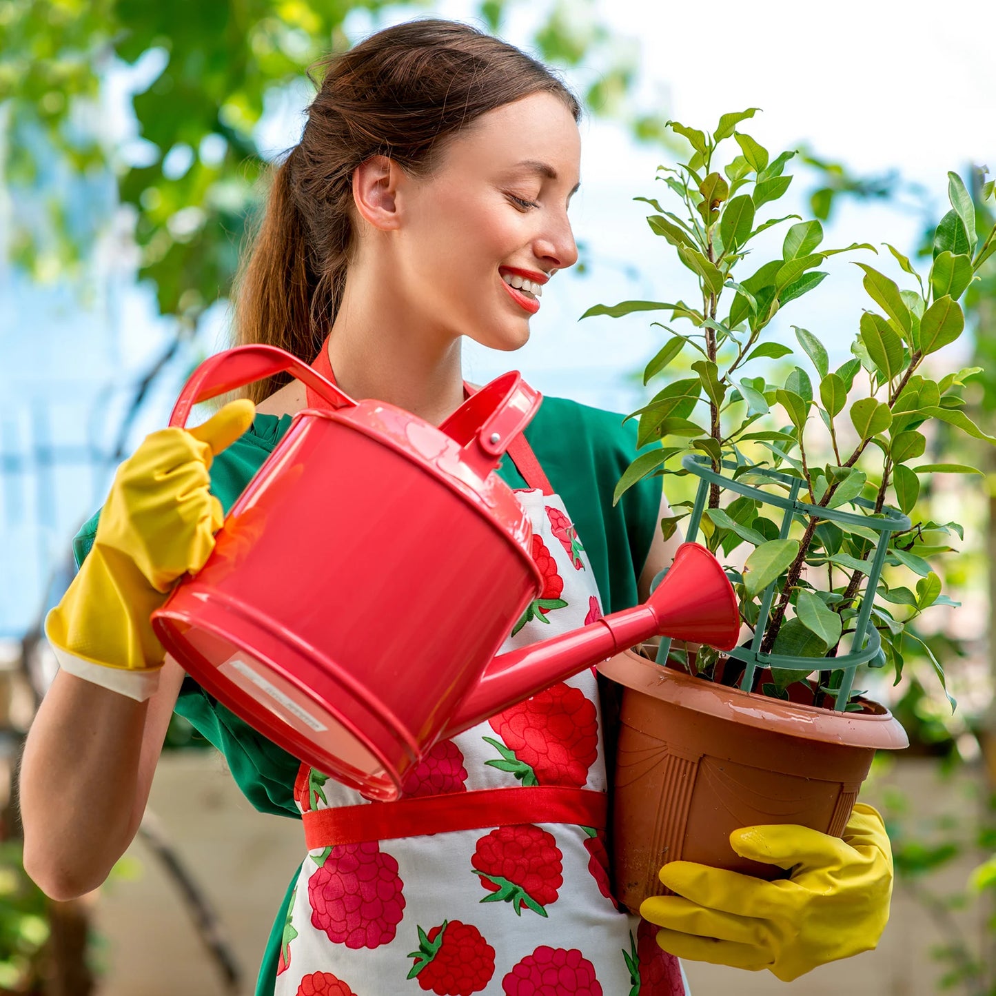 Plant Support Stakes for Garden – 6 Pack