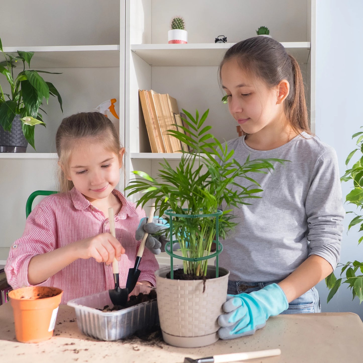 Plant Support Stakes for Garden – 6 Pack