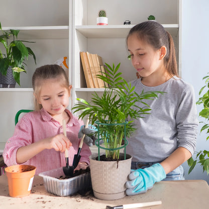 Plant Support Stakes for Garden – 6 Pack